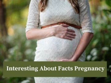 interesting facts pregnancy