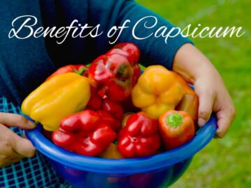 Benefits of Capsicum